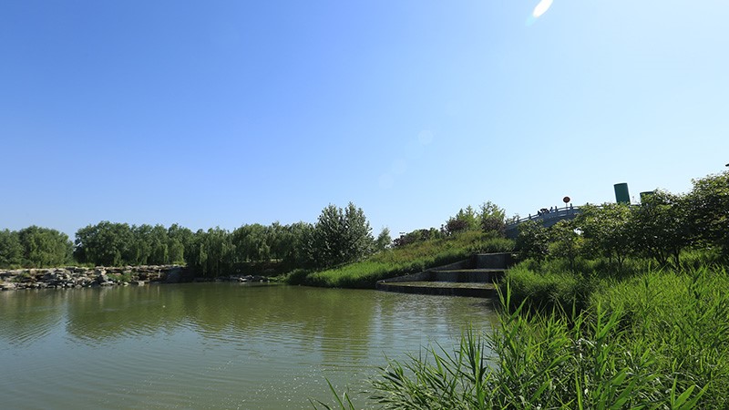北京東郊濕地公園-采用世邦廣播系統